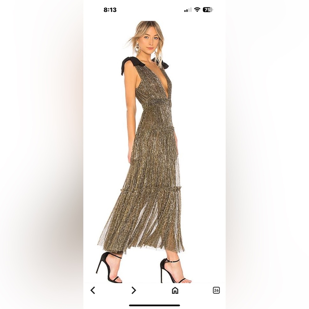Revolve 
Sabina Musayev Black and Silver Plunge Neck Pleated Gown